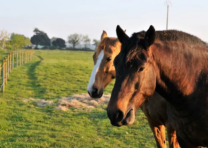 Les Au Soleil Levant *